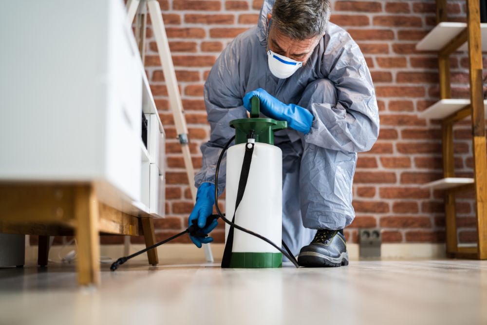 A pest control technician in a protective suit sprays for stinging insects in Miami, FL, ensuring safety and effective treatment.